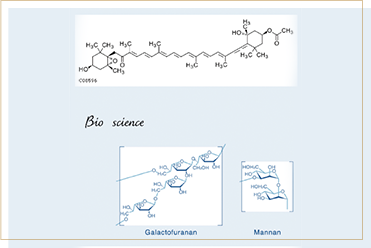 最新バイオ研究から生まれた活性微生物由来リフトアップクリーム。